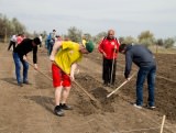 Our Students Found Vegetable Garden