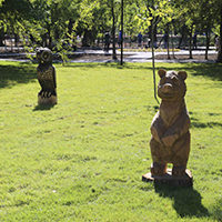 Our Students Gain Their Own Park
