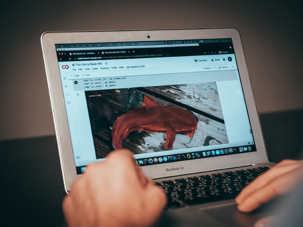 Учёные АГУ разработали приложение для идентификации астраханских рыб