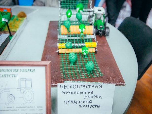 Молодые учёные АГУ изобрели новый способ сбора овощной культуры
