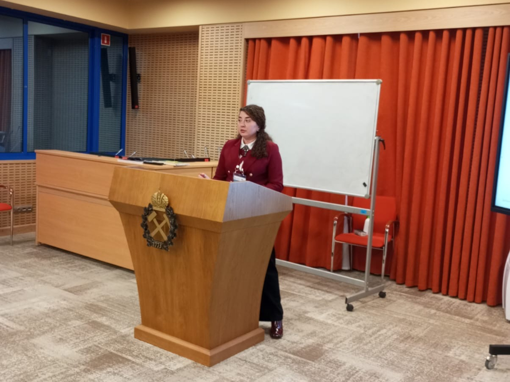 Преподаватели АГУ обсудили с коллегами интеграцию гуманитарного знания в технические специальности
