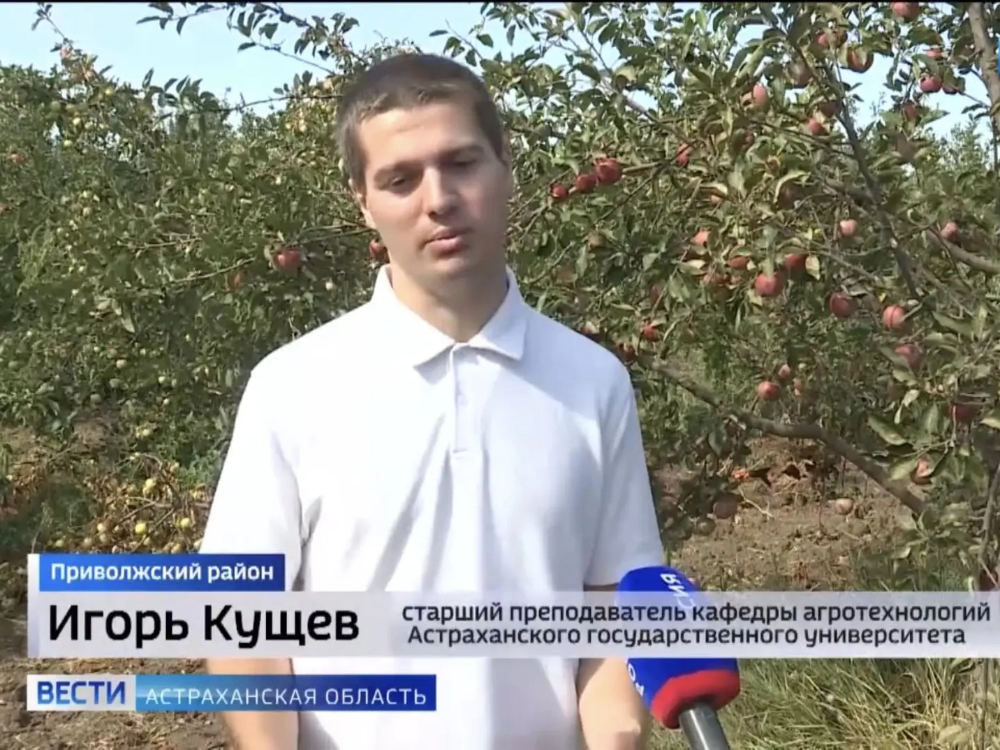 Будущие агрономы АГУ учатся профессии в яблоневом саду