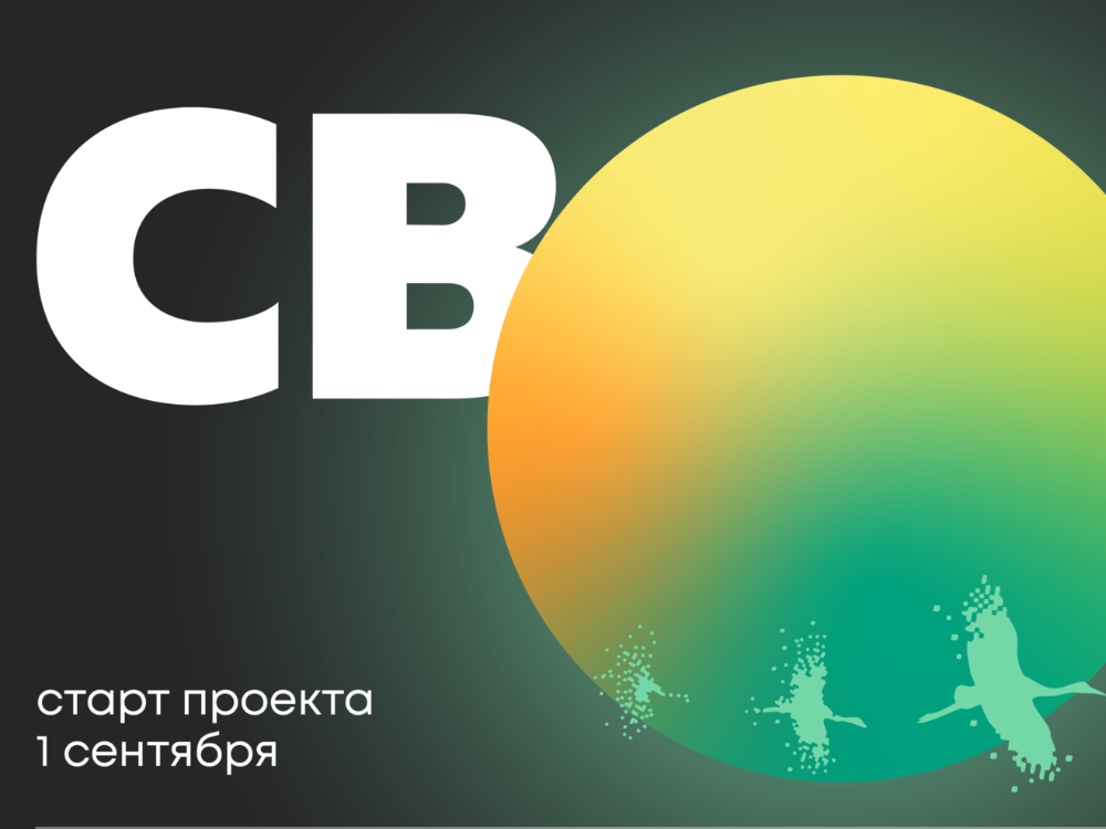 Проект «СВОИ: Наследие»

