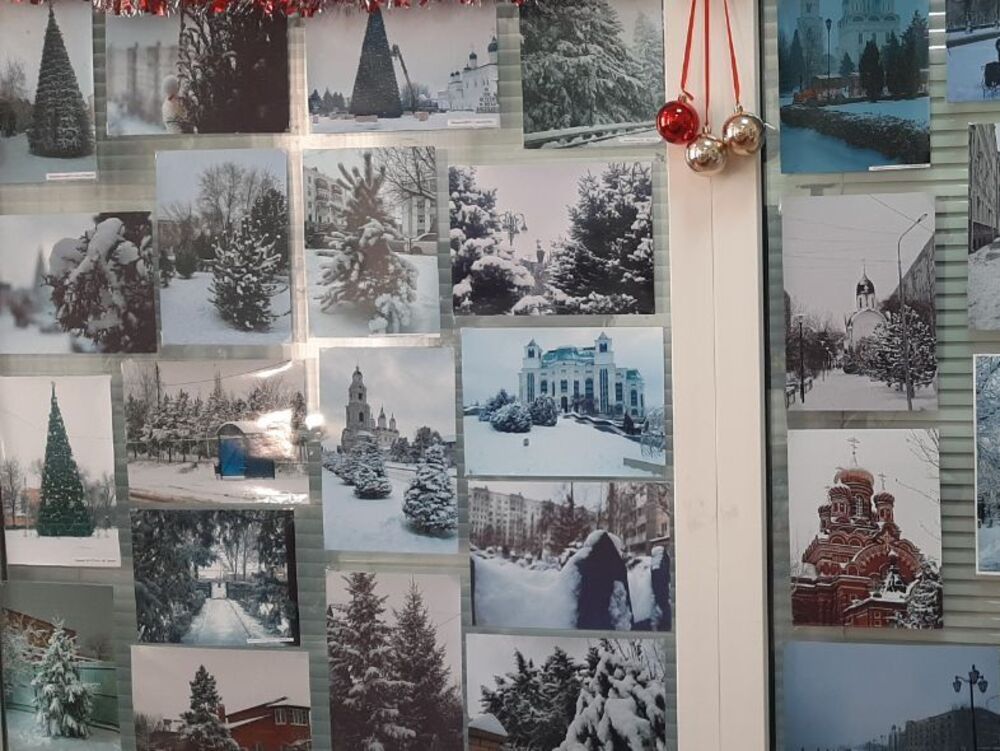 Студенты-журналисты АГУ подготовили новогоднюю фотовыставку