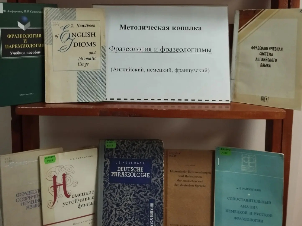 В АГУ проходит библиотечный методический триместр